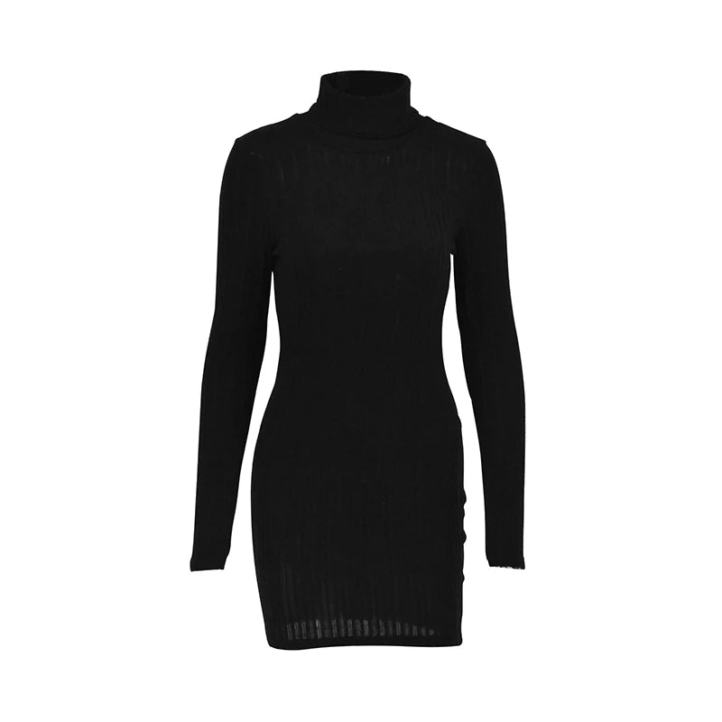 Travel-Ready Turtleneck Bodycon Dress